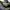 Adidas Adizero Adios Pro 4 Black Focus Olive photo 7