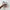 Adidas Campus 00s Dust Cargo Clear Pink photo 6