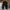BAGGY PANTS BALON BLACK photo 4