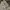 BAGGY CARGO CAMO US photo 6