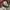 BAGGY CARGO CAMO US photo 8
