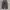 Uniqlo undercover super wide brown pants photo 1