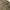 Streetwear Vintage Work jacket Pria cream tan photo 7