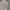 Musinsa Standart Pleated Baggy Pants