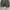 WNSB Camouflage Puffer Down Jacket photo 6