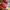 Converse Red X The Flash photo 1