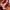 Converse Red X The Flash photo 2