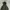 Muji Japan Seamless Padded Down Jacket photo 5