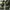 Long Outer photo 3