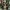 Long Outer photo 1