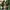 Long Outer photo 2