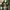 Long Outer