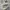 vans authentic anaheim photo 1
