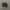 vans authentic full black photo 3