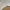 Avirex G 1 leather jacket us army airforce photo 6