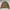 Avirex G 1 leather jacket us army airforce photo 2