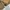 Avirex G 1 leather jacket us army airforce photo 7