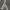 ADIDAS ZNE WHITE photo 2