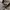 Novacheck Aquascutum Vintage Shirt Sleeve photo 3