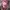 TOPI CAMO PINK LOGO USA
 photo 1