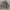REALTREE JACKET WINCHESTER REVERSIBLE photo 8