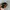 Nascar GoDaddy Hat By Chase