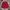 Celana Pendek Nike Y2K Red