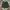 Celana Pendek Relax H&M Green Bottle photo 1