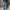 Calvin Klein Blue Jeans Easy Fit photo 2