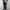 Uniqlo | Chinos| Relaxed | Ankle | Casual Pants | Work Pants photo 4