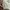 Longchamp Le Pliage Hand Bag 