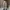 Spao Corduroy Pants Regular Fit  photo 2