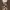 Dress A Line photo 2