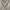Levi's Casual Short Pria cream photo 3