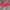 Crewneck Ambler red photo 2