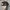 Vintage ropehat  photo 5