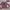 cardigan purple pita crop top photo 1