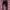 Raf simons destroy double layered pants photo 2