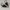 Chanel Lace up low top black white photo 1