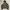 WaterRock Jacket