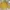Crewneck National Geograpic Yellow