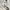 Tracktop Volleyball Asics White photo 5