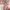 Cardigan Pink photo 6