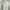 White Bow Tie Formal Office Blouse photo 2