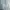 Sage Green Press Body Button Down Shirt Minimalist Workwear  photo 4
