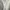 Renoma Paris Cream Button Down Shirt with Pleated Front Mini photo 3
