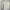 Popcorn Made in Korea Puff Sleeve Button Down Shirt Kemeja photo 2