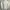 Popcorn Made in Korea Puff Sleeve Button Down Shirt Kemeja photo 5
