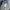 Spao Blue Formal Office Shirt Minimalist Workwear and Office photo 7