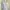 Bean Pole Ladies Baby Blue Fit Body Shirt Formal Minimalist  photo 2